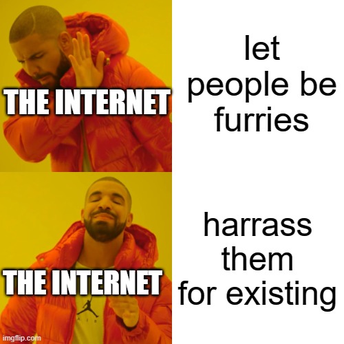 Drake Hotline Bling Meme | let people be furries harrass them for existing THE INTERNET THE INTERNET | image tagged in memes,drake hotline bling | made w/ Imgflip meme maker