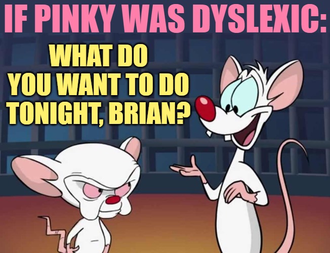 Dyslexic Pinky | IF PINKY WAS DYSLEXIC:; WHAT DO YOU WANT TO DO TONIGHT, BRIAN? | image tagged in pinky and the brain,dyslexia,humor,funny memes,lol,cartoons | made w/ Imgflip meme maker