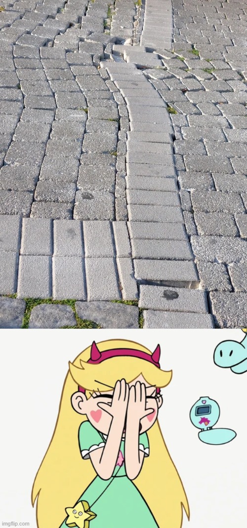 what's wrong with the guy who made this? | image tagged in star butterfly severe facepalm,star vs the forces of evil,you had one job,failure,design fails,memes | made w/ Imgflip meme maker