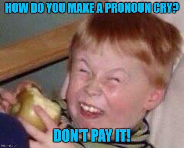 Apple eating kid | HOW DO YOU MAKE A PRONOUN CRY? DON'T PAY IT! | image tagged in apple eating kid | made w/ Imgflip meme maker