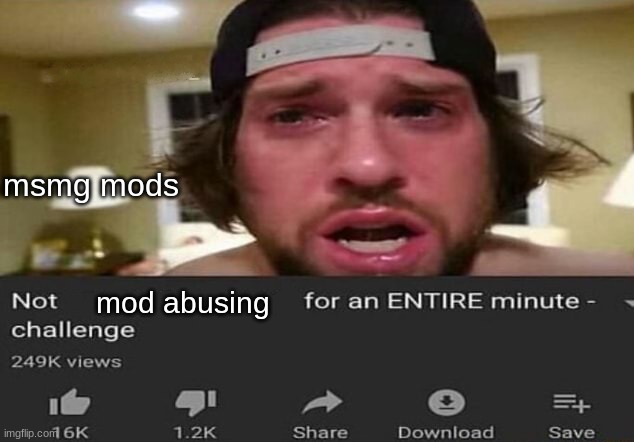 Not _____ for an ENTIRE minute - challenge | msmg mods; mod abusing | image tagged in not _____ for an entire minute - challenge | made w/ Imgflip meme maker