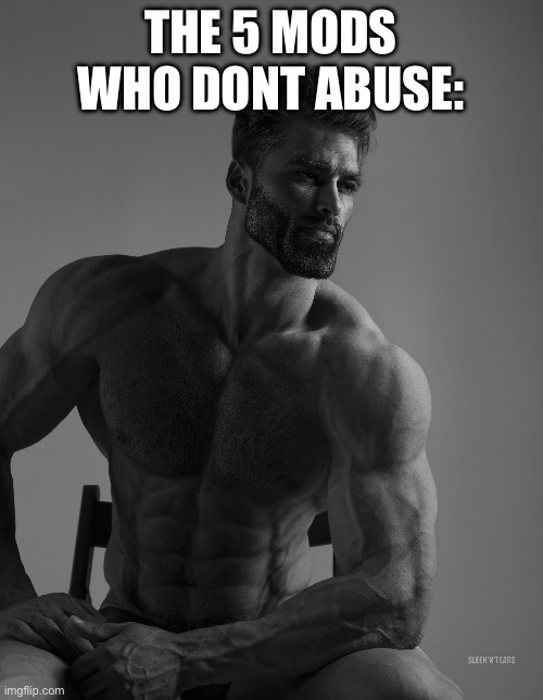 Giga Chad | THE 5 MODS WHO DONT ABUSE: | image tagged in giga chad | made w/ Imgflip meme maker