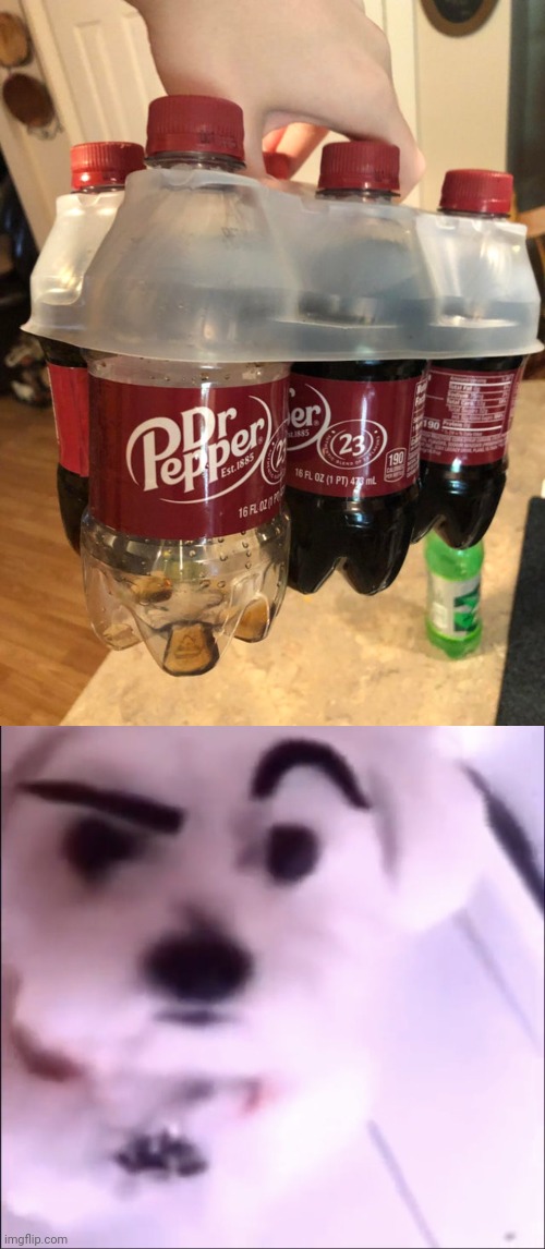 Dr Pepper | image tagged in raised eyebrow dog,dr pepper,soda,you had one job,memes,sodas | made w/ Imgflip meme maker