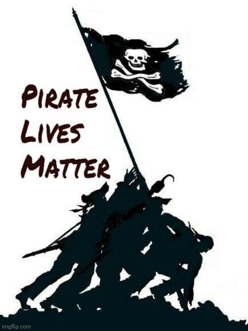 PLM | image tagged in pirates,pirate,marines,pirate lives matter | made w/ Imgflip meme maker