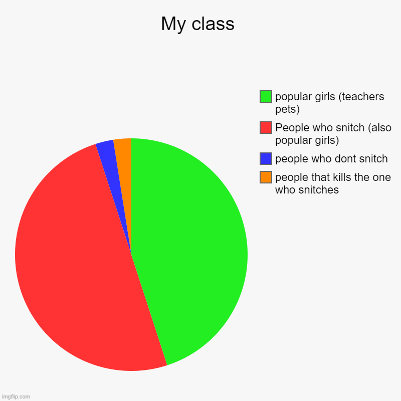 My class | people that kills the one who snitches, people who dont snitch, People who snitch (also popular girls), popular girls (teachers p | image tagged in charts,pie charts | made w/ Imgflip chart maker
