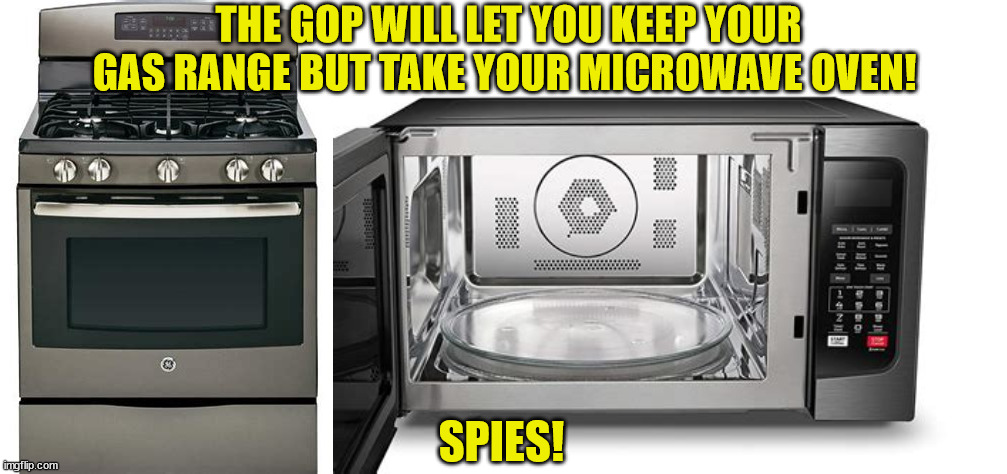No more spies.. | THE GOP WILL LET YOU KEEP YOUR GAS RANGE BUT TAKE YOUR MICROWAVE OVEN! SPIES! | image tagged in republicans,gop,paranoia,maga,gas stove,microwave oven | made w/ Imgflip meme maker