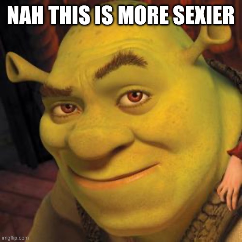 Shrek Sexy Face | NAH THIS IS MORE SEXIER | image tagged in shrek sexy face | made w/ Imgflip meme maker