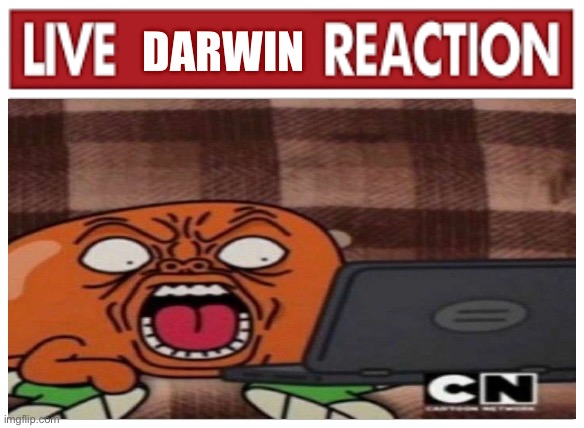 Live Darwin Reaction | DARWIN | image tagged in darwin,the amazing world of gumball,live x reaction,memes | made w/ Imgflip meme maker