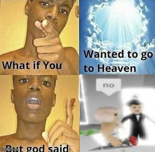 no | image tagged in what if you wanted to go to heaven,no,roblox,cursed image,random | made w/ Imgflip meme maker