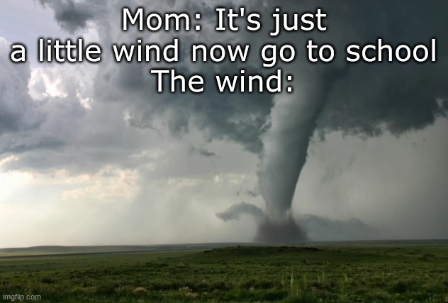 Mom: It's just a little wind now go to school
The wind: | image tagged in tornado guy | made w/ Imgflip meme maker