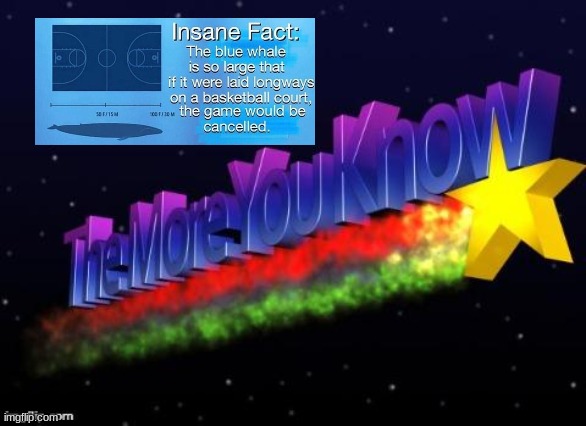 the more you know | image tagged in the more you know | made w/ Imgflip meme maker