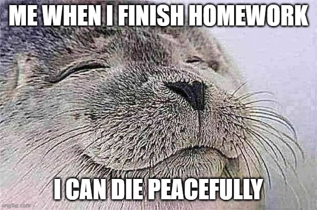 when you finish homework | ME WHEN I FINISH HOMEWORK; I CAN DIE PEACEFULLY | image tagged in memes,satisfied seal | made w/ Imgflip meme maker