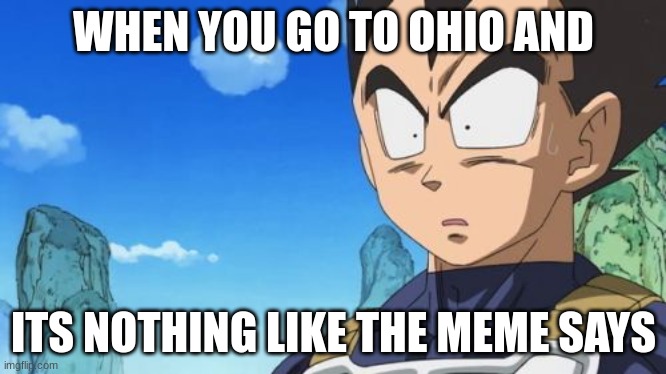 Surprized Vegeta | WHEN YOU GO TO OHIO AND; ITS NOTHING LIKE THE MEME SAYS | image tagged in memes,surprized vegeta | made w/ Imgflip meme maker