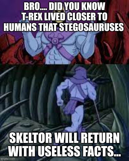 skeletor until next time | BRO.... DID YOU KNOW T-REX LIVED CLOSER TO HUMANS THAT STEGOSAURUSES; SKELTOR WILL RETURN WITH USELESS FACTS... | image tagged in skeletor until next time | made w/ Imgflip meme maker