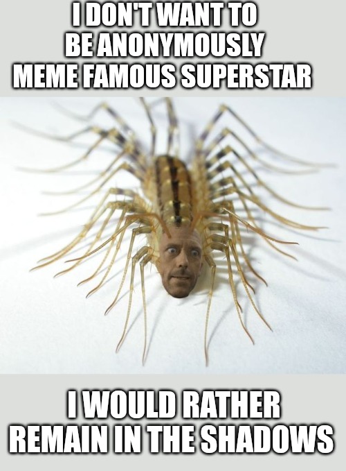 Anonymously famous meme superstar | I DON'T WANT TO BE ANONYMOUSLY MEME FAMOUS SUPERSTAR; I WOULD RATHER REMAIN IN THE SHADOWS | made w/ Imgflip meme maker