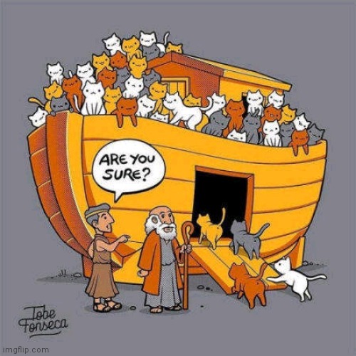The first cat fancier | image tagged in noah's ark,cats | made w/ Imgflip meme maker
