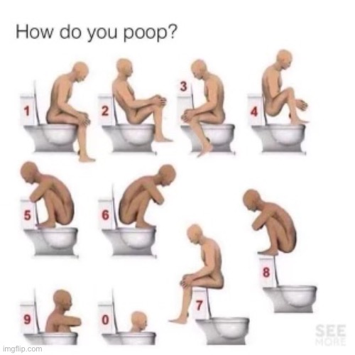 How do you poop? | image tagged in poop | made w/ Imgflip meme maker