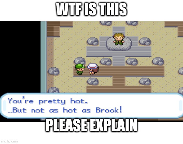 was playing a randomizer when I saw this | WTF IS THIS; PLEASE EXPLAIN | image tagged in pokemon,brock,wtf | made w/ Imgflip meme maker