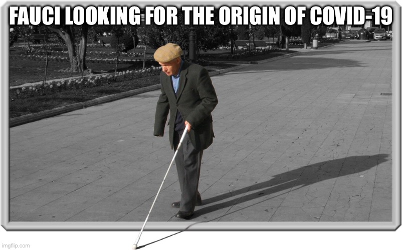 Fauci and the origin of Covid | FAUCI LOOKING FOR THE ORIGIN OF COVID-19 | image tagged in blind guy,covid-19,wuhan,dr fauci | made w/ Imgflip meme maker