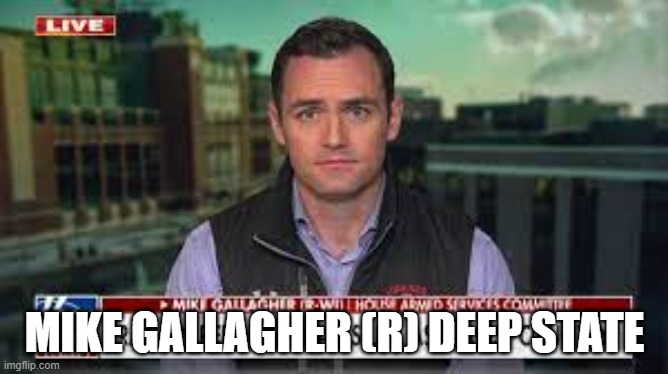 mil intel officer Iraq under Petraeus; Princeton, Georgetown natsec scholar | MIKE GALLAGHER (R) DEEP STATE | image tagged in memes | made w/ Imgflip meme maker