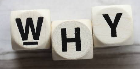 Why scrabble Blank Meme Template
