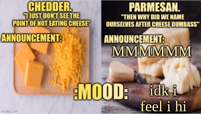 Chedder.+ Parmesan.'s Temp | MMMMMM; idk i feel i hi | image tagged in chedder parmesan 's temp | made w/ Imgflip meme maker