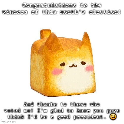 I kind of don't mind losing, I'm happier knowing people like me! | Congratulations to the winners of this month's election! And thanks to those who voted me! I'm glad to know you guys think I'd be a good president. 😃 | image tagged in catbread | made w/ Imgflip meme maker