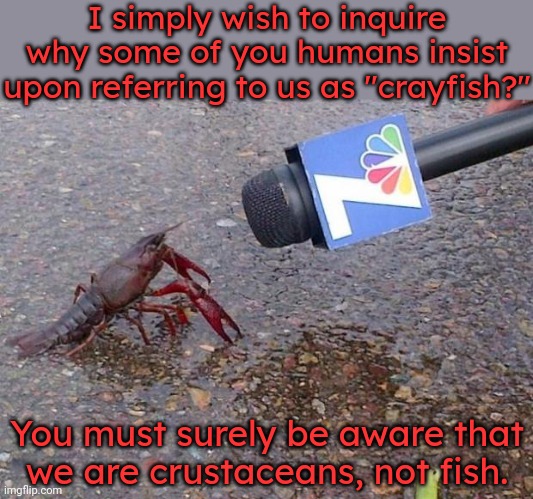 The crawdads have a question. | I simply wish to inquire why some of you humans insist upon referring to us as "crayfish?"; You must surely be aware that
we are crustaceans, not fish. | image tagged in crayfish,smart animals,names for things,humor | made w/ Imgflip meme maker