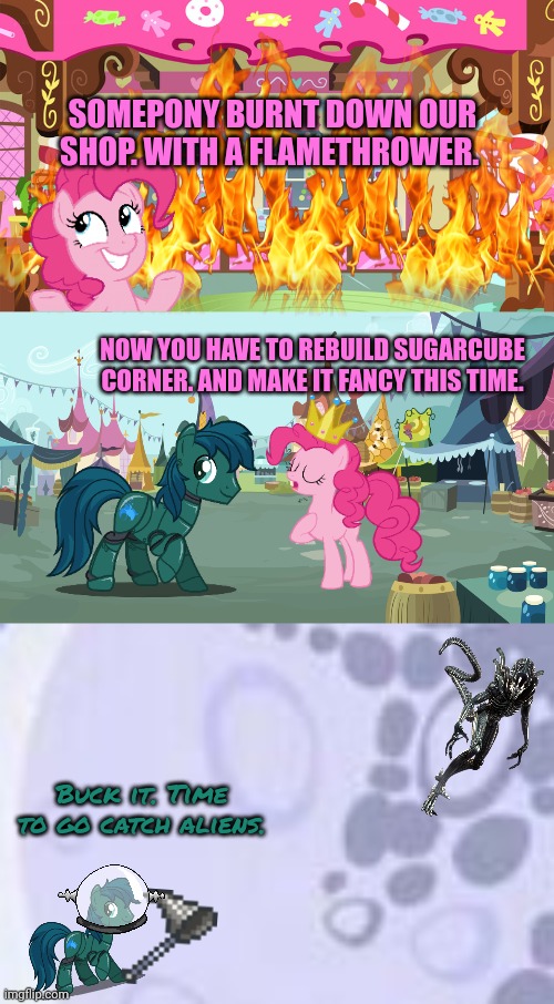 SOMEPONY BURNT DOWN OUR SHOP. WITH A FLAMETHROWER. NOW YOU HAVE TO REBUILD SUGARCUBE CORNER. AND MAKE IT FANCY THIS TIME. Buck it. Time to g | image tagged in sugarcube corner,mlp background,mlp moon | made w/ Imgflip meme maker