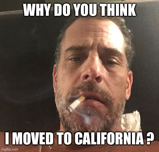 Hunter Biden | WHY DO YOU THINK I MOVED TO CALIFORNIA ? | image tagged in hunter biden | made w/ Imgflip meme maker