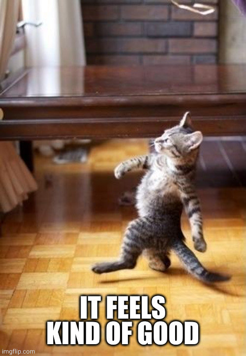 Cool Cat Stroll Meme | IT FEELS KIND OF GOOD | image tagged in memes,cool cat stroll | made w/ Imgflip meme maker