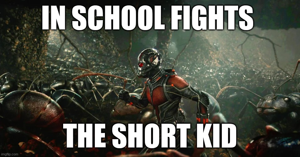 School fights | IN SCHOOL FIGHTS; THE SHORT KID | image tagged in marvel | made w/ Imgflip meme maker