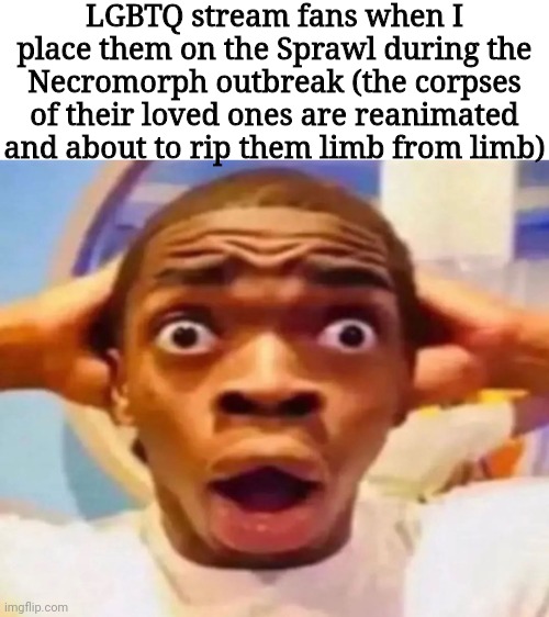 Scared Black Boy | LGBTQ stream fans when I place them on the Sprawl during the Necromorph outbreak (the corpses of their loved ones are reanimated and about to rip them limb from limb) | image tagged in scared black boy | made w/ Imgflip meme maker