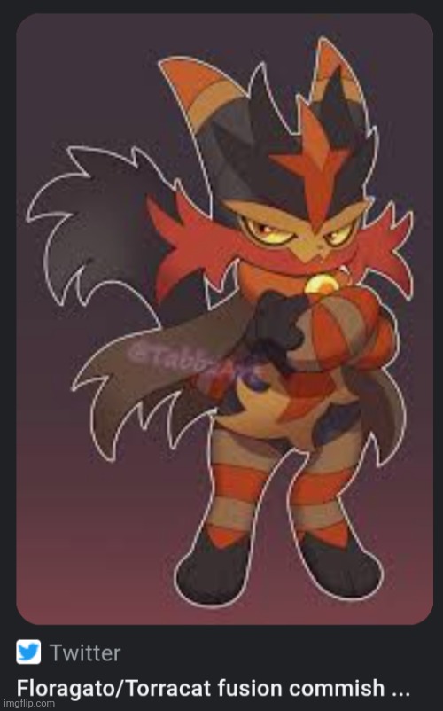 Floragato and Torracat fusion | made w/ Imgflip meme maker