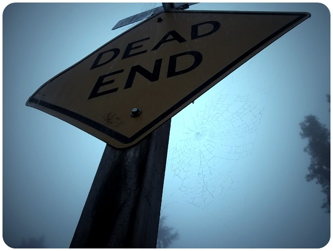 Dead End Sign and Web with Morning Dew (10.24.13; Tacoma, WA; with filter effects) | image tagged in photography,signs | made w/ Imgflip meme maker