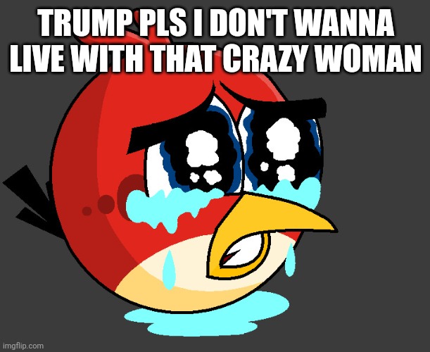 Sad birds | TRUMP PLS I DON'T WANNA LIVE WITH THAT CRAZY WOMAN | image tagged in sad birds | made w/ Imgflip meme maker
