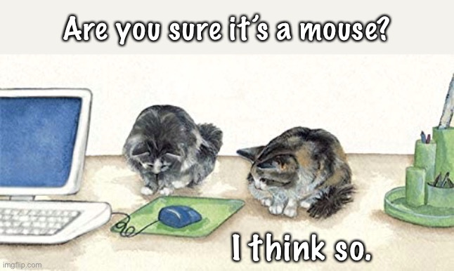 Is it a mouse | Are you sure it’s a mouse? I think so. | image tagged in cats at the computer,is it a mouse,think so,cats | made w/ Imgflip meme maker