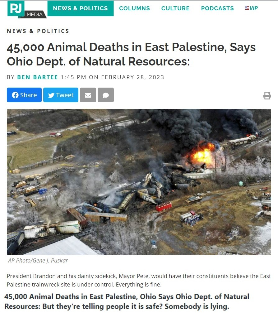 Somebody is Lying in Ohio | image tagged in liar liar my teacher says,liar liar pants on fire,liar liar,lyin biden,petey buttplug,pedohitler | made w/ Imgflip meme maker