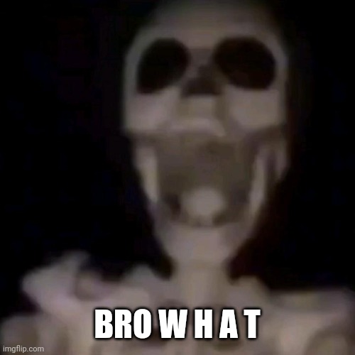 BRO W H A T | made w/ Imgflip meme maker