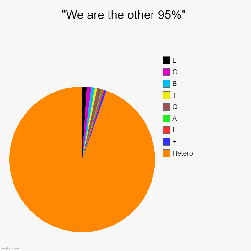 Way too much attention is being paid to a small minority | "We are the other 95%" | Hetero, +, I, A, Q, T, B, G, L | image tagged in charts,pie charts,lgbtq | made w/ Imgflip chart maker