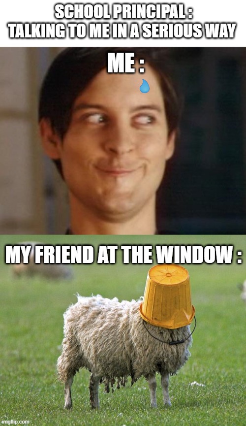 no I'm not laughing at you sir ( oh sh*t ) | SCHOOL PRINCIPAL :  TALKING TO ME IN A SERIOUS WAY; ME :; MY FRIEND AT THE WINDOW : | image tagged in memes,spiderman peter parker,stupid sheep | made w/ Imgflip meme maker