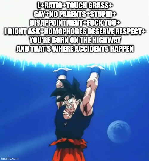 Goku Ratio | L+RATIO+TOUCH GRASS+
GAY+NO PARENTS+STUPID+
DISAPPOINTMENT+FUCK YOU+
I DIDNT ASK+HOMOPHOBES DESERVE RESPECT+
YOU'RE BORN ON THE HIGHWAY AND  | image tagged in goku ratio | made w/ Imgflip meme maker