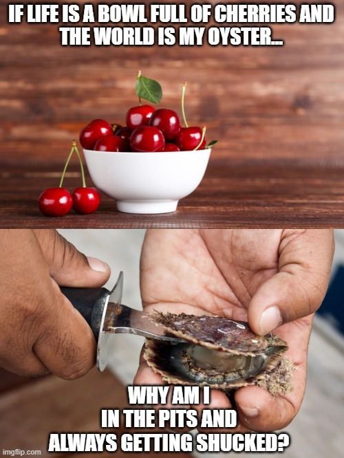 Life | IF LIFE IS A BOWL FULL OF CHERRIES AND
THE WORLD IS MY OYSTER... WHY AM I IN THE PITS AND

ALWAYS GETTING SHUCKED? | image tagged in just why | made w/ Imgflip meme maker