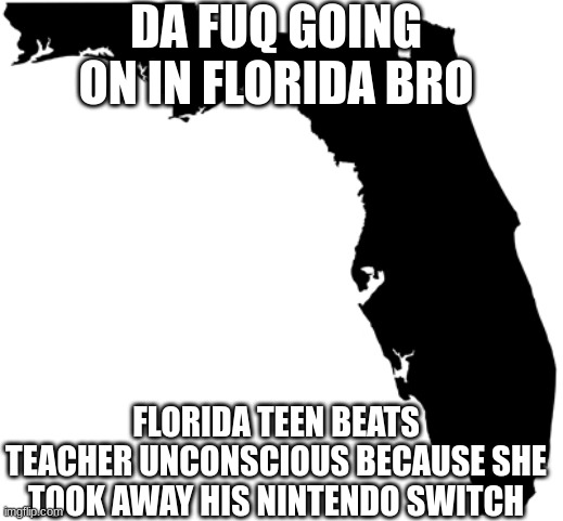 Florida | DA FUQ GOING ON IN FLORIDA BRO; FLORIDA TEEN BEATS TEACHER UNCONSCIOUS BECAUSE SHE TOOK AWAY HIS NINTENDO SWITCH | image tagged in florida | made w/ Imgflip meme maker