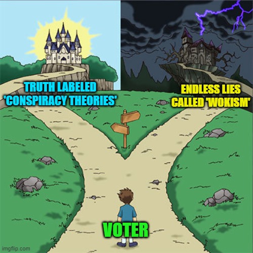 Choose . . . wisely. | TRUTH LABELED 'CONSPIRACY THEORIES'; ENDLESS LIES CALLED 'WOKISM'; VOTER | image tagged in two paths | made w/ Imgflip meme maker