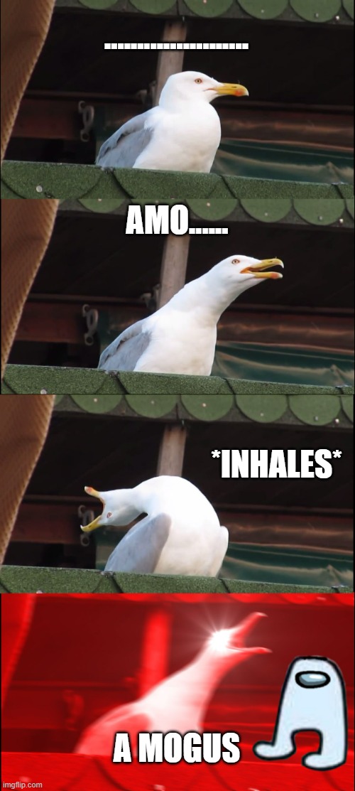 AAAAAAAAAAAAAAAAAAAAAAAAAAAAAAAAAAAAAAAAAAAAAAAAAAAAAAAAAAAAAAAAAAAAAAAAAAAAAAAAAAAAAAAAAAAAAAAAAAAAAAAAAAAAAAAAAAAAAAAAAAAAAAAA | ...................... AMO...... *INHALES*; A MOGUS | image tagged in memes,inhaling seagull | made w/ Imgflip meme maker