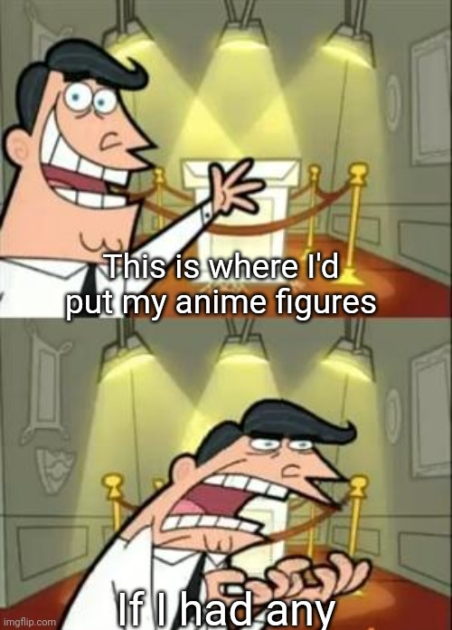 sobs | This is where I'd put my anime figures; If I had any | image tagged in memes,this is where i'd put my trophy if i had one,anime,anime figures | made w/ Imgflip meme maker