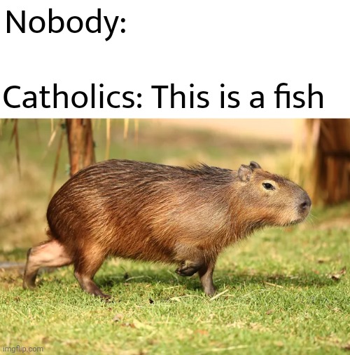 Nobody:; Catholics: This is a fish | image tagged in catholicism | made w/ Imgflip meme maker