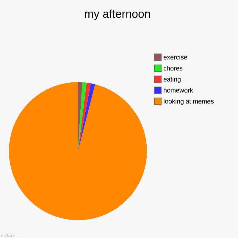 my afternoon | looking at memes, homework, eating , chores, exercise | image tagged in charts,pie charts | made w/ Imgflip chart maker