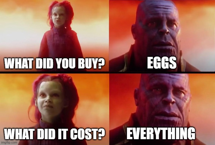 Inflation. | WHAT DID YOU BUY? EGGS; WHAT DID IT COST? EVERYTHING | image tagged in memes,thanos,thanos what did it cost,eggs,groceries,funny memes | made w/ Imgflip meme maker